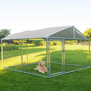 Dog Fence 81eydSBIKyL. AC SL1500  300x300