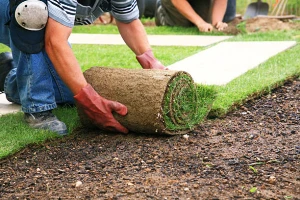 Fort Myers Landscaping Company fortmyerslandscaping images 21
