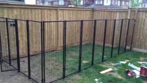 Dog Fence maxresdefault 300x169