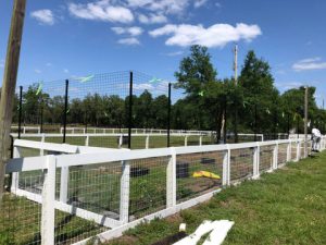 Dog Fence microsoftteams image 4 1  93491  41891 category.original 300x225