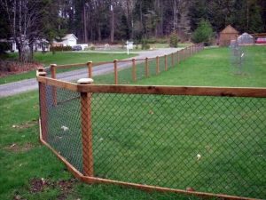 Dog Fence yard dog fence ideas 300x225