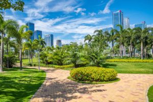 Punta Gorda Commercial Landscaping Service commercial1 300x200