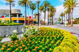 Punta Gorda Commercial Landscaping Service fortmyerslandscaping commercial 01