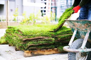 Murdock Sod Installation & Removal Service fortmyerslandscaping sod 02