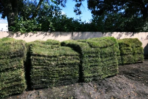 Murdock Sod Installation & Removal Service fortmyerslandscaping sod 05